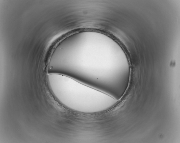 X0000092250971200709141002