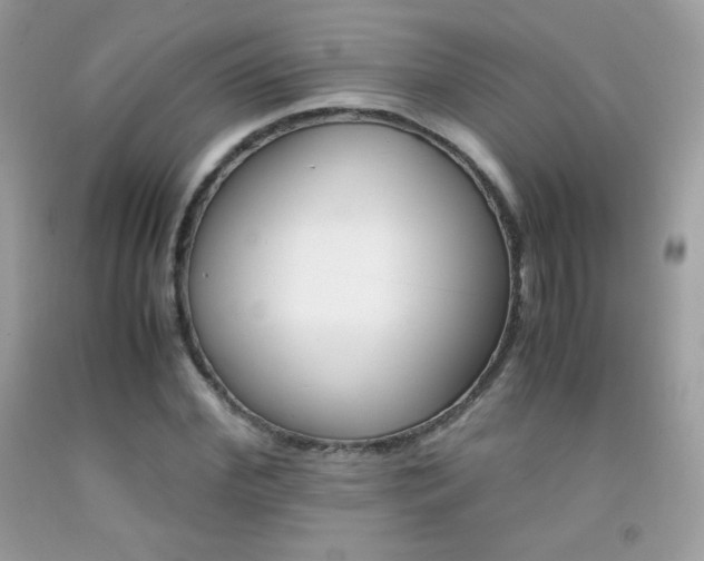 X0000092250972200709141002