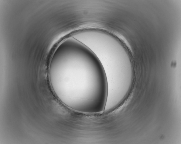 X0000092250973200709141002