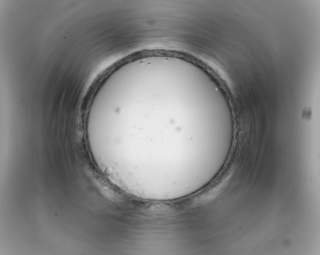 X0000092250974200709141002