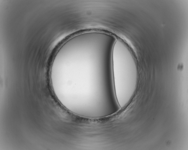 X0000092250975200709141002
