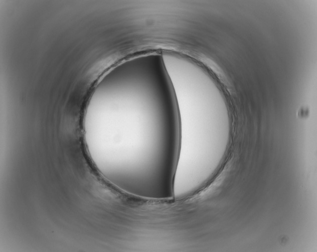 X0000092250977200709141002