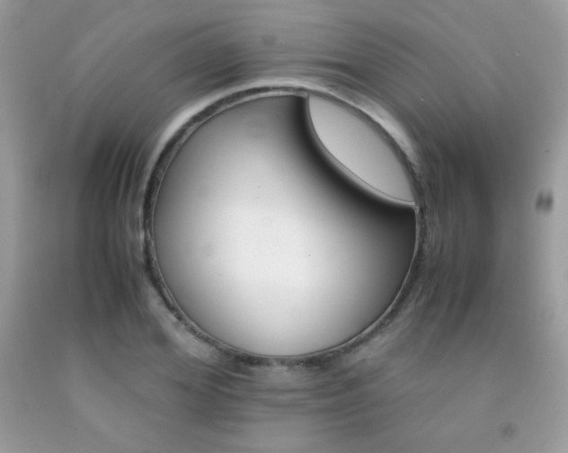X0000092250980200709141002