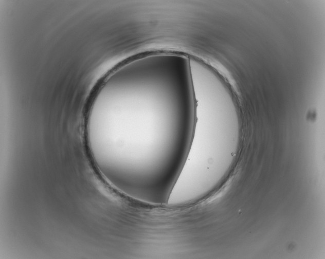 X0000092250981200709141002