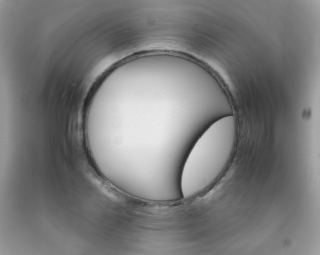 X0000092250982200709141002