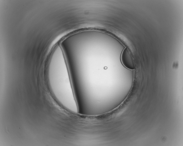 X0000092250983200709141002