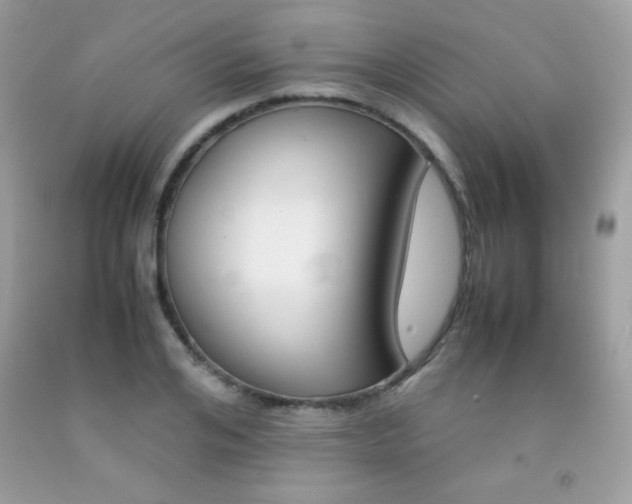 X0000092250984200709141002