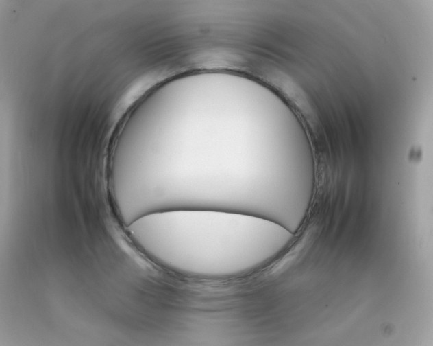 X0000092250986200709141002
