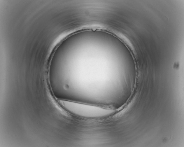 X0000092250989200709141002
