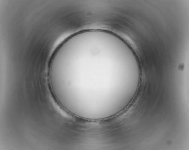 X0000092250990200709141002