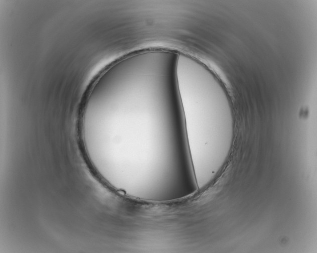 X0000092250991200709141002