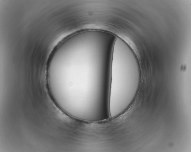 X0000092250992200709141002