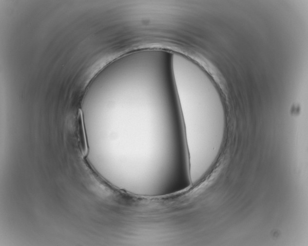 X0000092250993200709141002