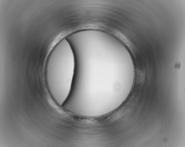 X0000092250994200709141002