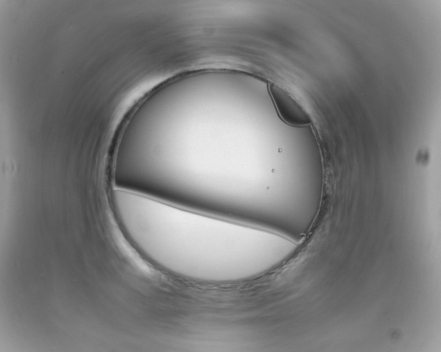 X0000092250995200709141002