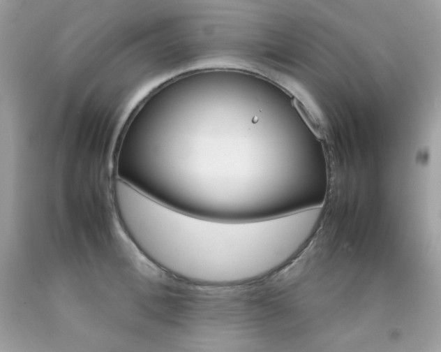 X0000092250996200709141002