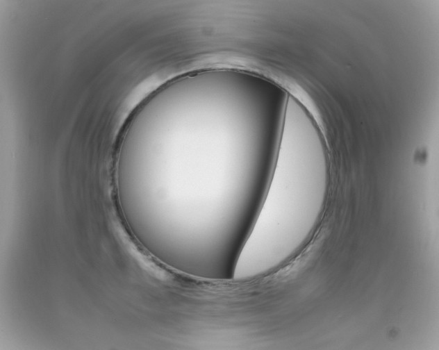 X0000092250997200709141002
