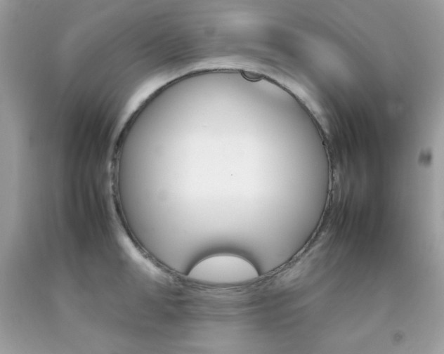 X0000092250998200709141002