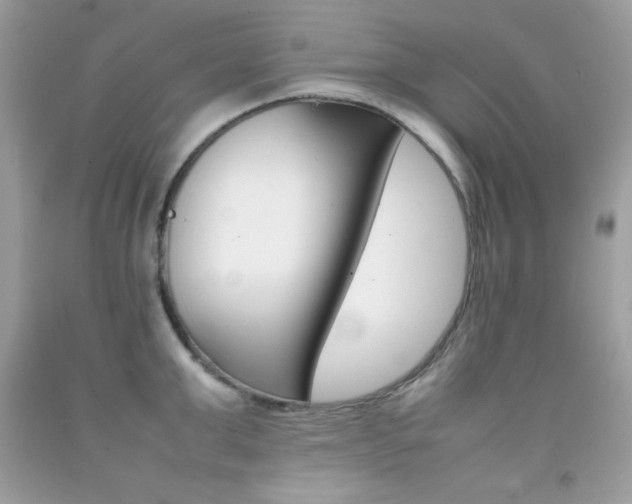 X0000092250999200709141002