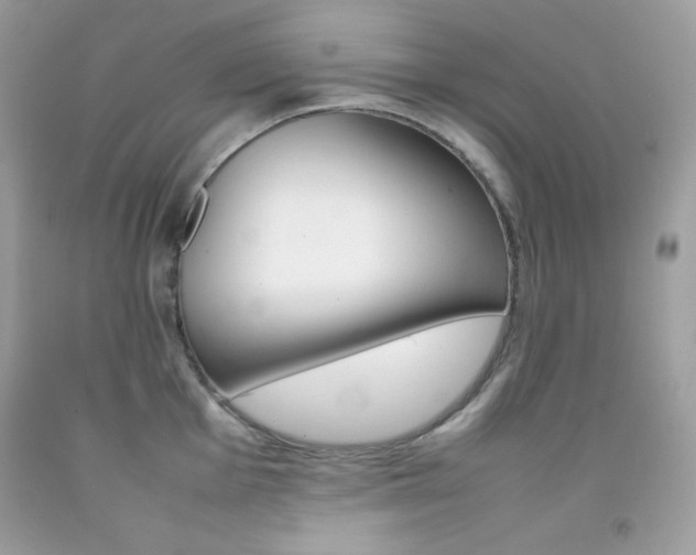 X0000092251001200709141001