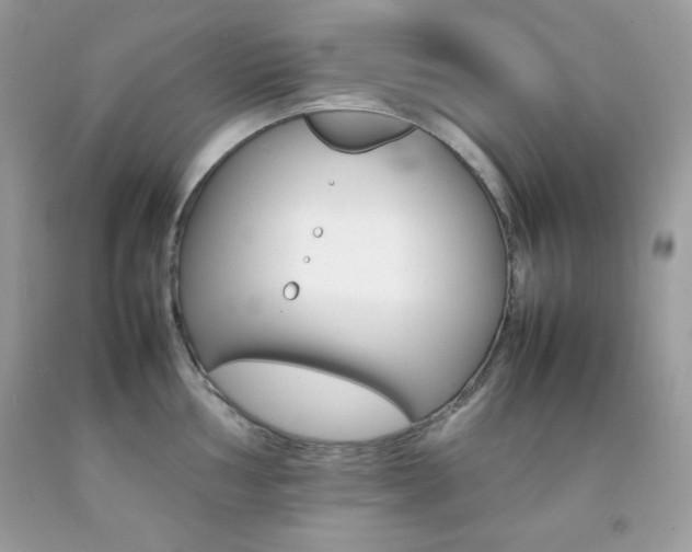 X0000092251002200709141001