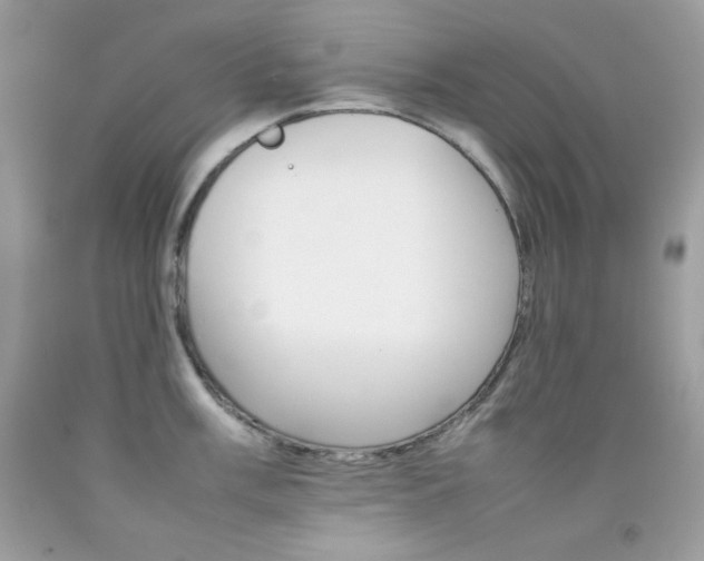 X0000092251003200709141001