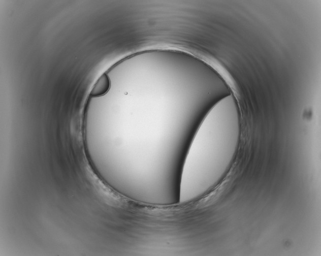X0000092251004200709141001