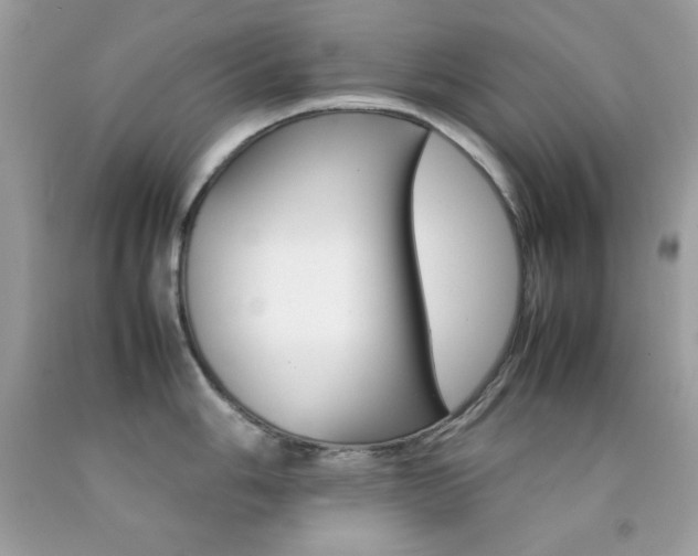 X0000092251006200709141001