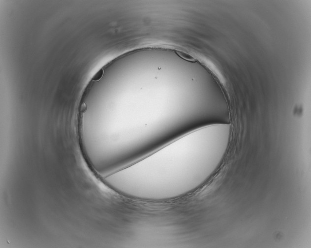 X0000092251007200709141001