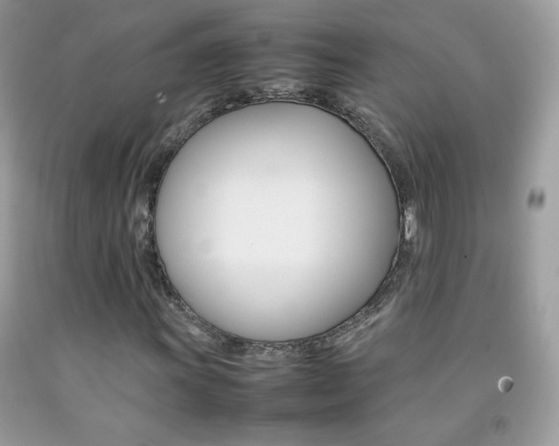 X0000092251011200709141001