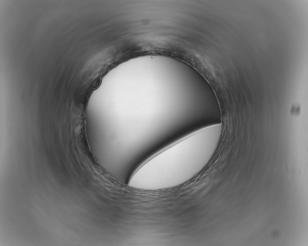 X0000092251012200709141001