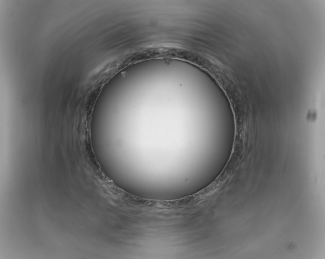 X0000092251014200709141001