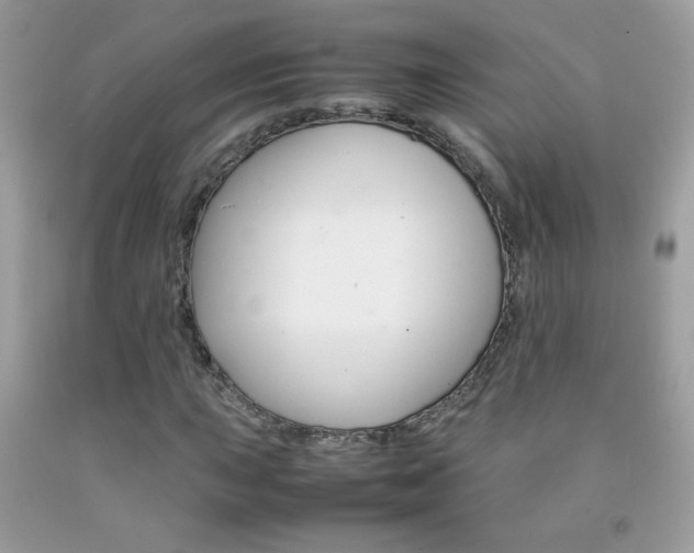 X0000092251015200709141001