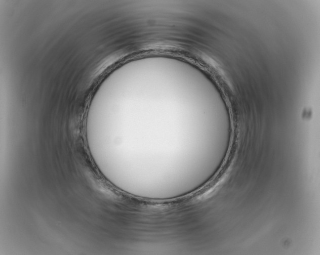 X0000092251017200709141001