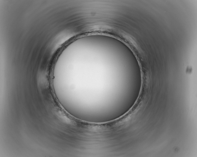 X0000092251018200709141001
