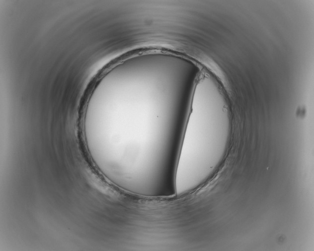 X0000092251020200709141001