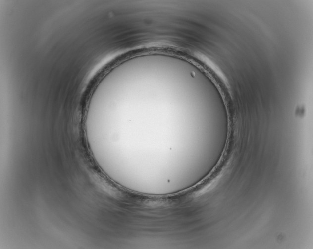 X0000092251021200709141001