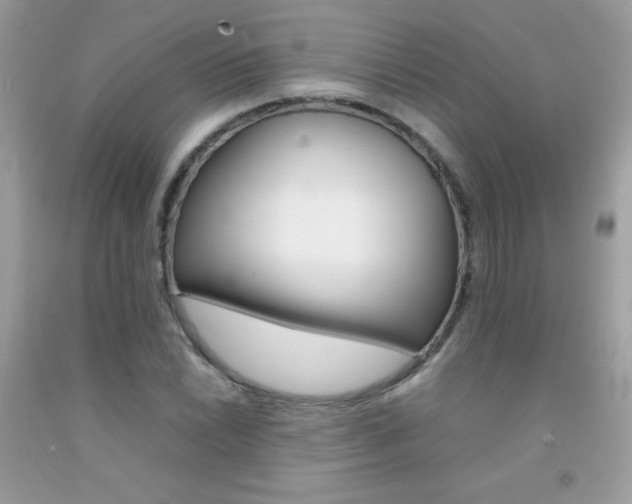 X0000092251022200709141001