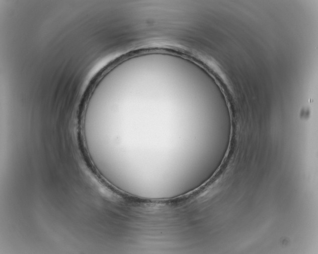 X0000092251024200709141001