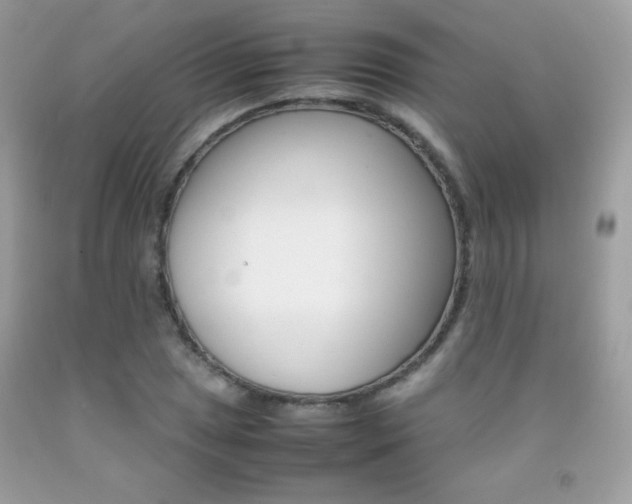 X0000092251025200709141001