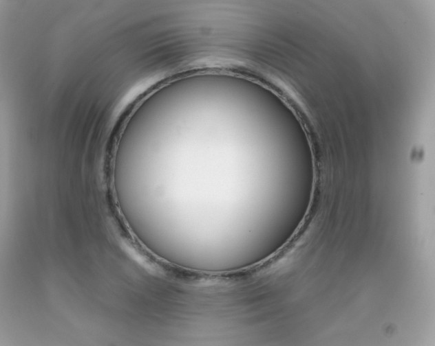 X0000092251026200709141001