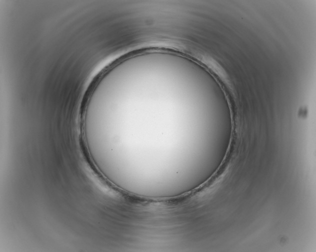 X0000092251028200709141001