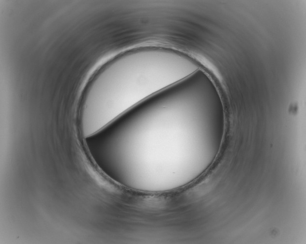 X0000092251029200709141001