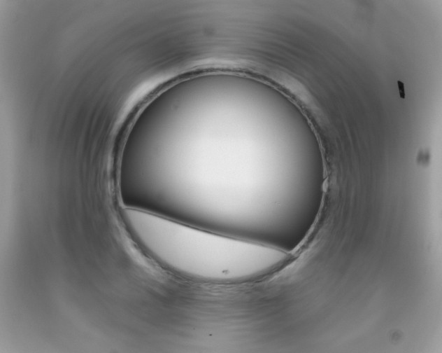 X0000092251030200709141001