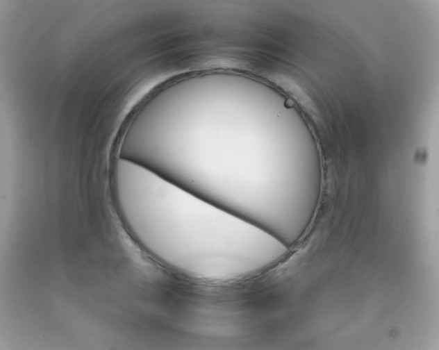 X0000092251031200709141001