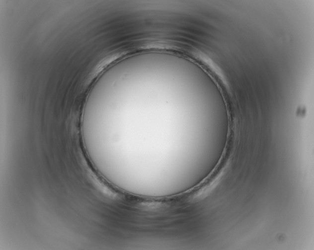 X0000092251033200709141001