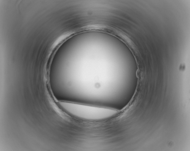 X0000092251034200709141001