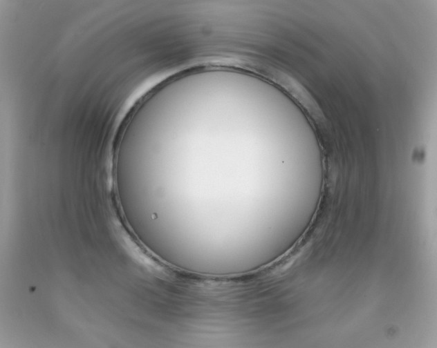 X0000092251036200709141001