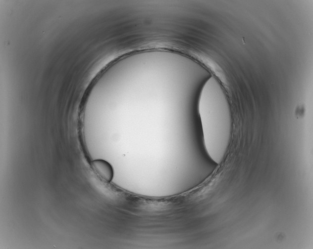 X0000092251039200709141001