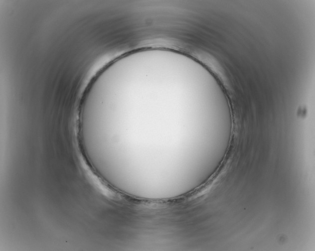 X0000092251040200709141001